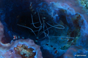 DSC02058