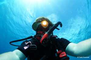 scuba diving antilla shipwreck aruba