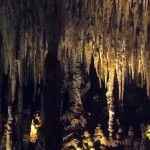 Zip-lining & Exploring Caves at XPlor Mexico