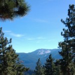 Hotel Review: Sleepy Forest Cottages Big Bear